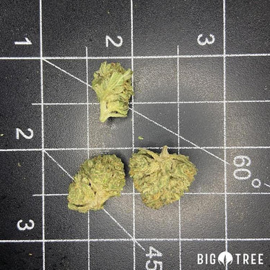 GMO
