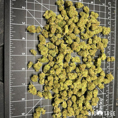 Sangiovese (Popcorn Buds)