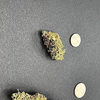 Purple Punch Trim