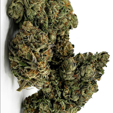 London Pound Cake x Gelato
