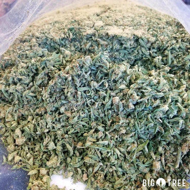 Mimosa
